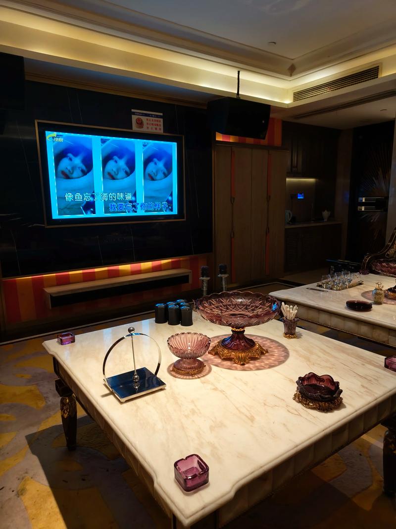 保山商务ktv哪里有高性价比选择-龙陵县ktv预定